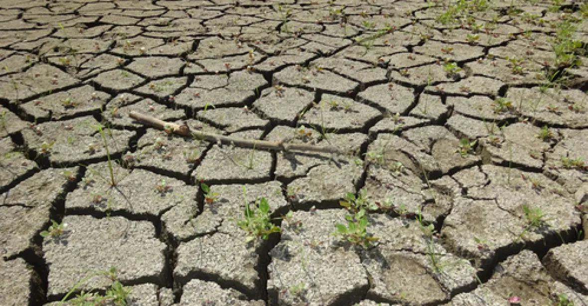 Většina peněz na prevenci rizik sucha může být utracena zbytečně