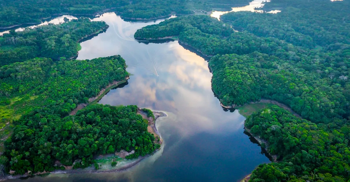 Brazílie zrušila rezervaci v Amazonii. Na místě pralesa o rozloze Dánska se bude těžit zlato