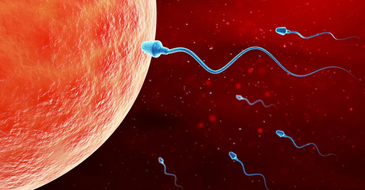 Převratný výzkum: Stres může změnit DNA spermií, tvrdí vědci
