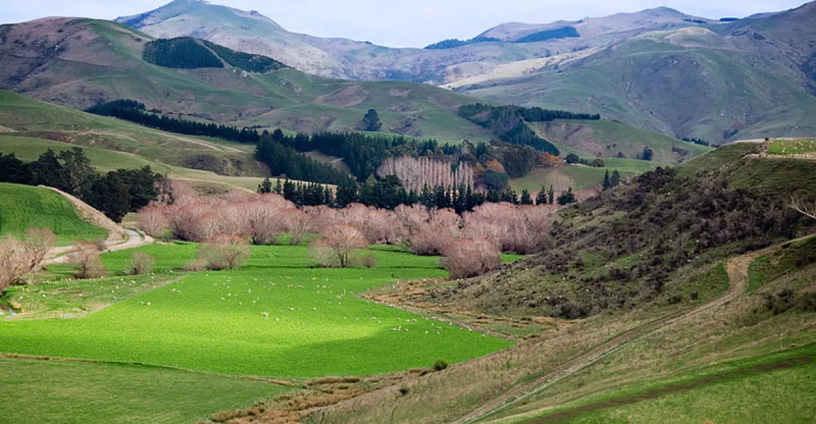 Čech koupil rozlehlé pastviny na Novém Zélandu za několik set milionů