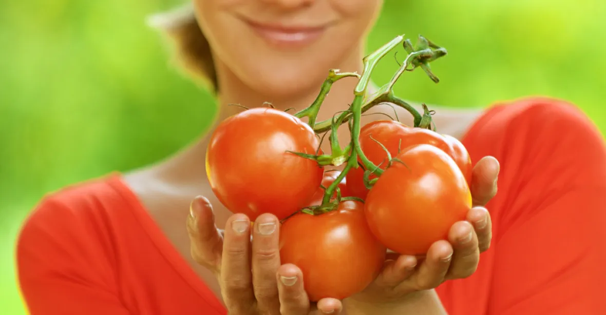 Pochutnejte si na bio rajčatech vyrostlých u nebožtíků. V Berlíně se rodí projekt využívání hřbitovů