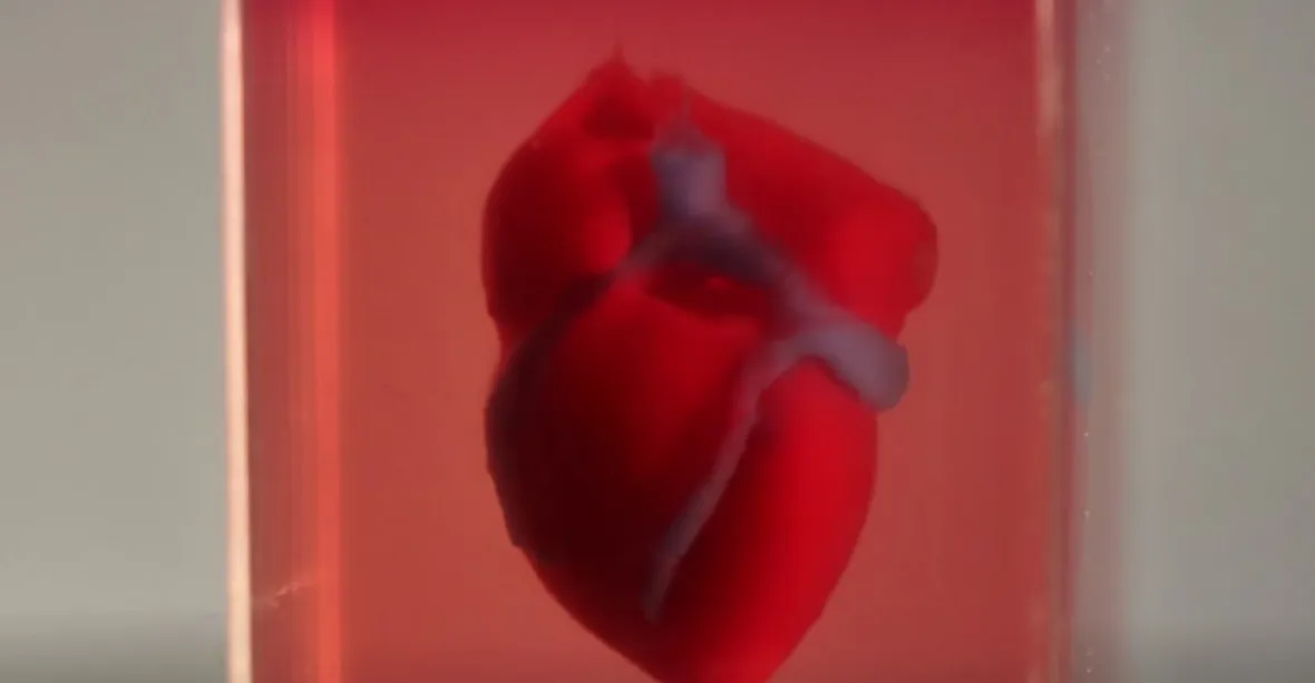 Budoucnost transplantací? Izraelští vědci „vytiskli“ 3D tiskárnou kompletní srdce