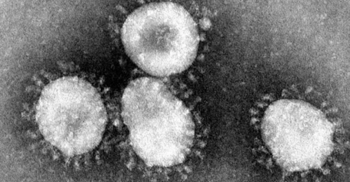 Počet nakažených koronavirem v Číně přesáhl 68 000, přes 1600 lidí zemřelo