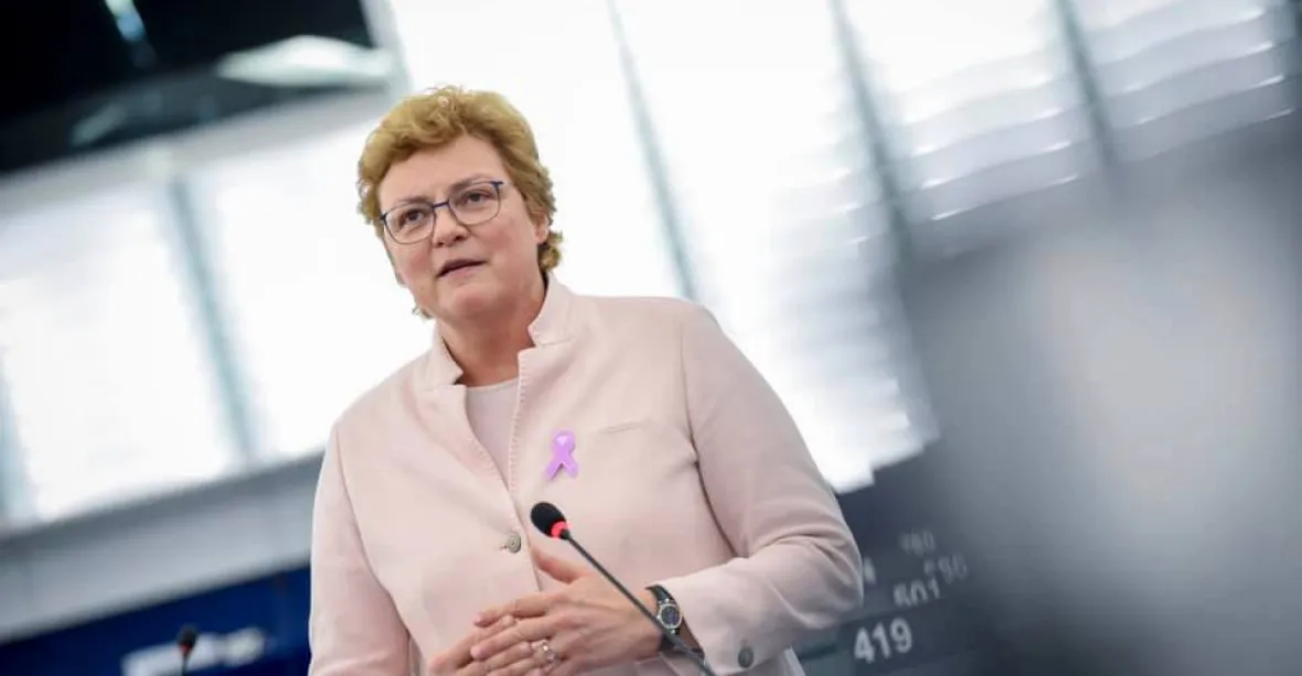 Nechutné, reaguje europoslankyně Hohlmeierová na Babišovu urážku