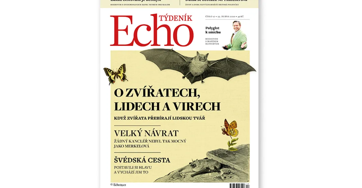 Týdeník Echo: Jak chutná netopýr, Merkelová zažívá velký návrat, Švédům to vychází