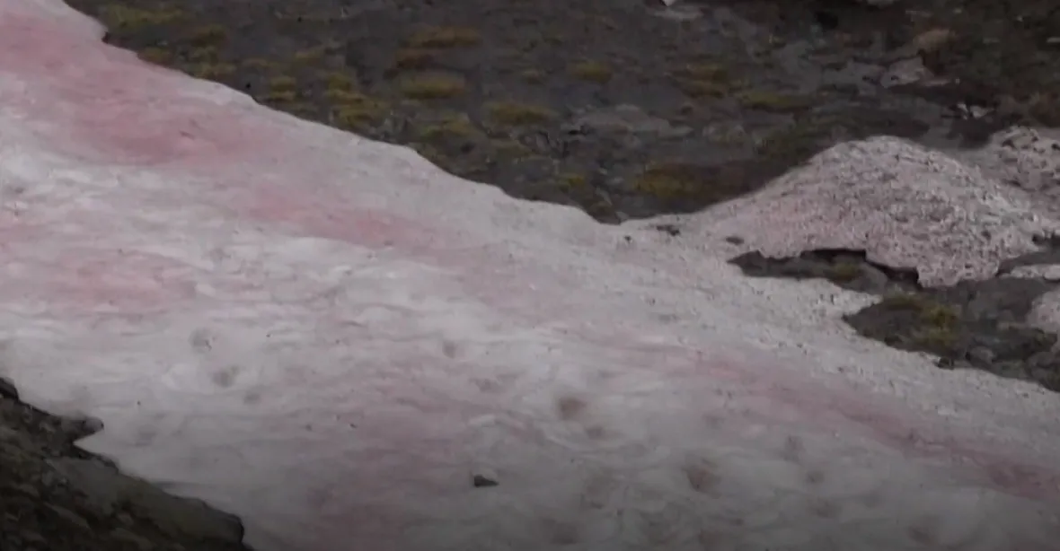 VIDEO: Italský ledovec se zbarvil dorůžova. Je to špatná zpráva
