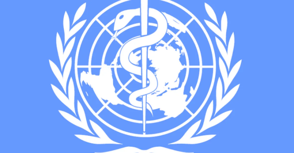 Šéf WHO: Pandemie by mohla skončit do dvou let