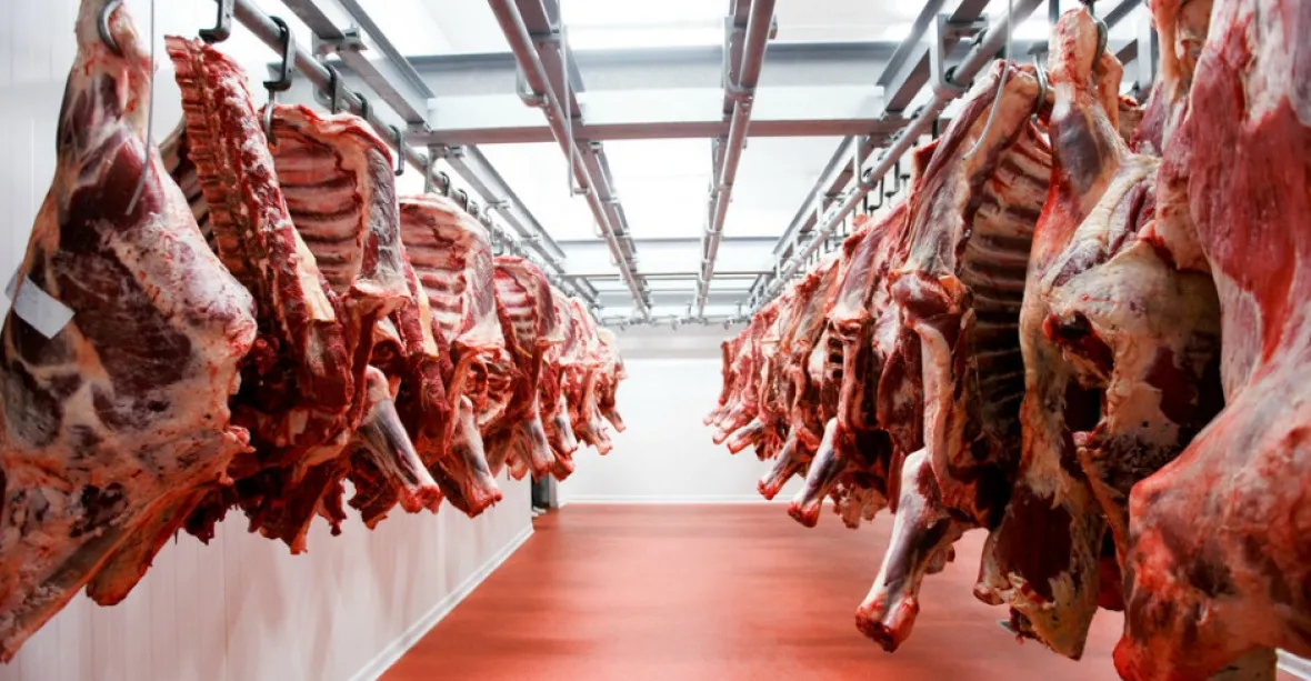 Německý řetězec Aldi přestane prodávat levné maso z umělých chovů