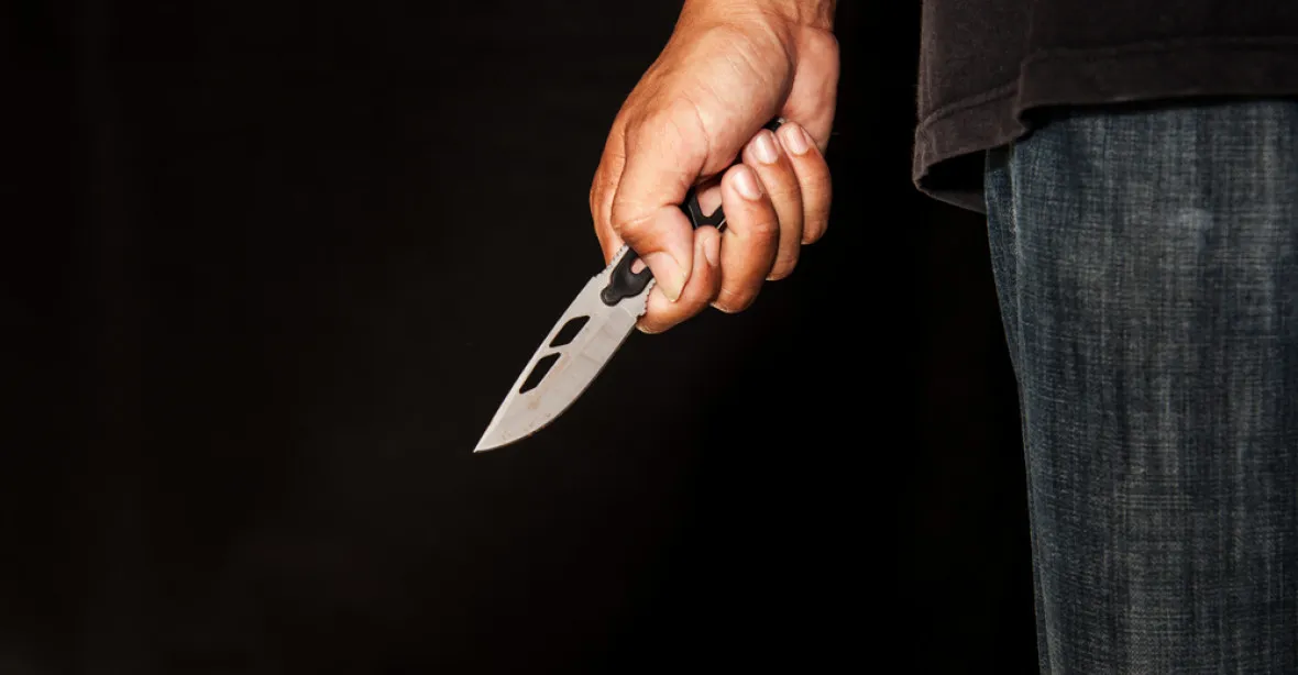 Muže našli s nožem potřísněným krví. Útok ve vlaku ICE vyšetřují německé úřady jako teroristický