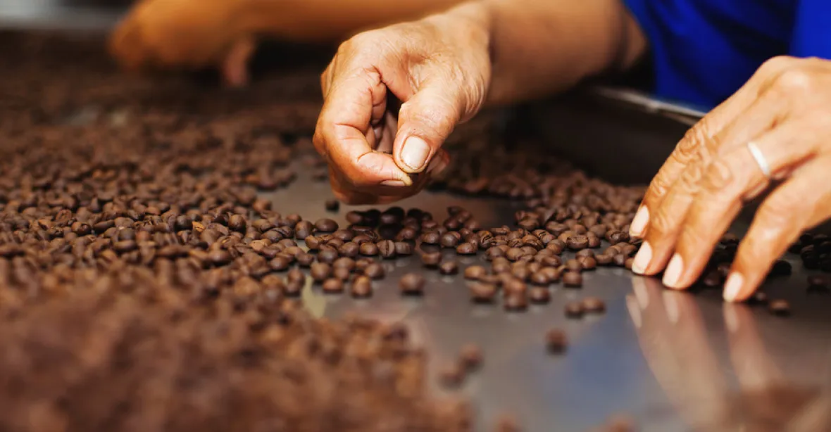 Káva je nejdražší za posledních 11 let. Může za to sucho, mráz i vydatné deště v Brazílii