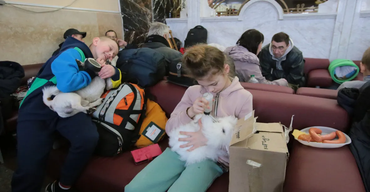 S uprchlíky do Prahy dorazilo vlakem i 13 psů, 11 koček, dva kanárci a jeden křeček