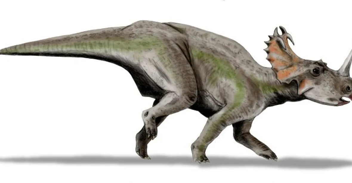 Dinousauři žili a umírali podobně jako lidé. Vědci u vyhynulých tvorů našli rakovinu