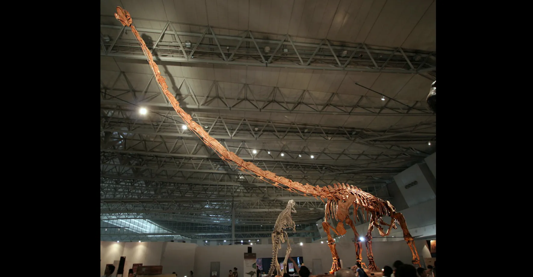 Neuvěřitelná anatomie dinosaurů. Vědci po letech dopočítali rozměr nejdelšího krku