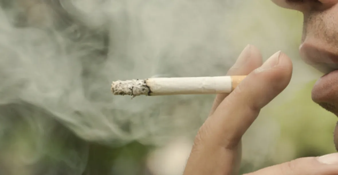 Cigarety by měly zdražit trojnásobně, zní z WHO. V Česku by pak krabička stála i 500 korun