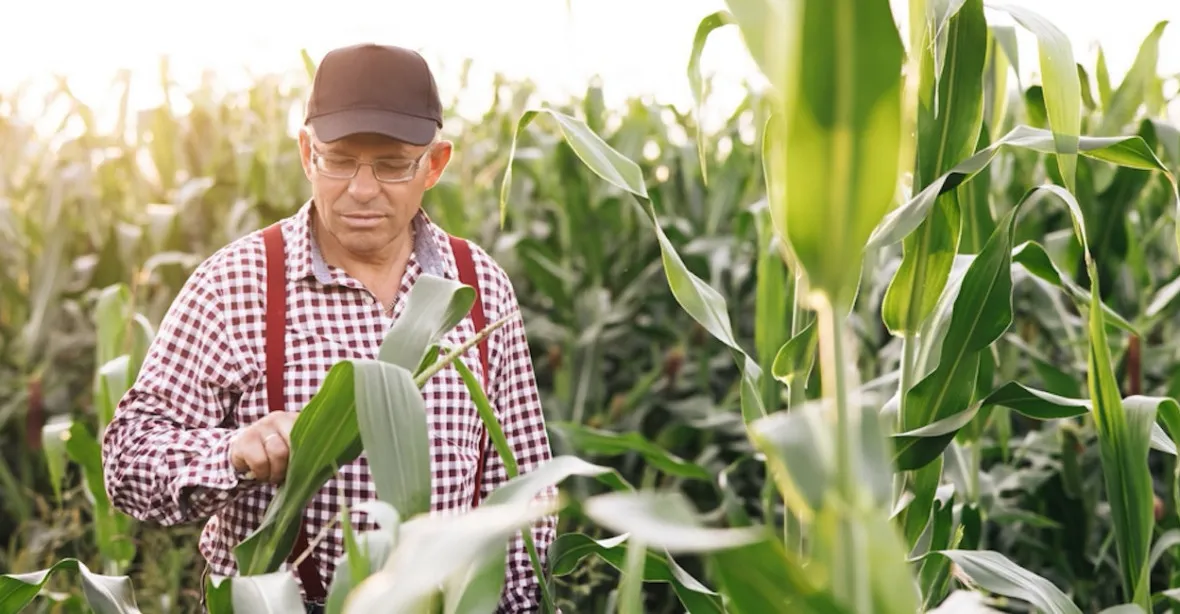 Farmáři pod kontrolou družic. „Systém nerozezná trávu od vojtěšky,“ stěžují si zemědělci
