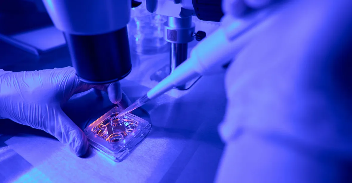 Vědci vypěstovali v laboratoři lidské embryo. Obešli se bez spermie, vajíčka i dělohy