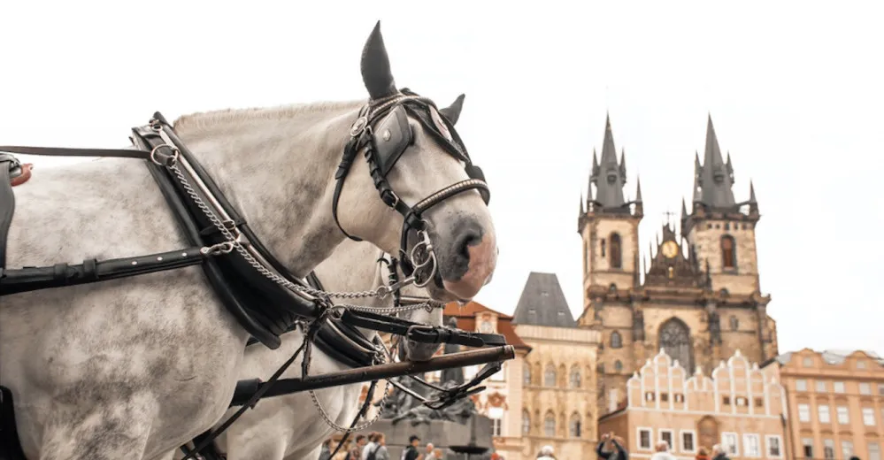 „Hrůzostrašná fotografie.“ Pospíšil brojí proti koňským povozům v centru Prahy